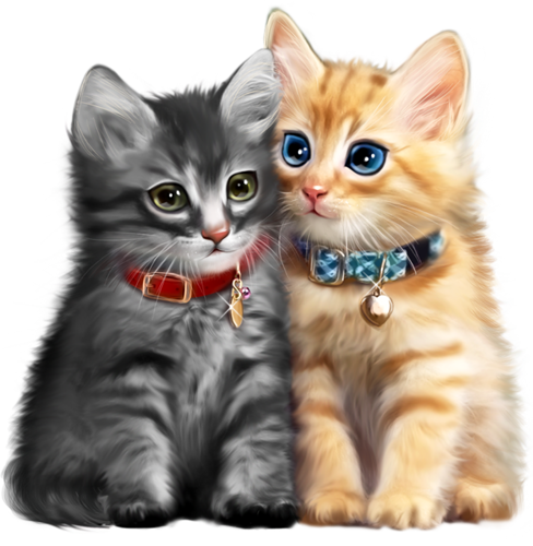 Chat tube cam Chat tube cam